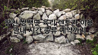 합천 쌍백면 육리 렌트카 이용 안내: 시간, 종류, 예약까지!
