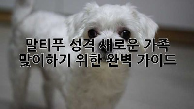 말티푸 성격: 새로운 가족 맞이하기 위한 완벽 가이드